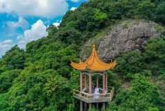 东莞为何拒绝将观音山国家森林公园纳入保护地