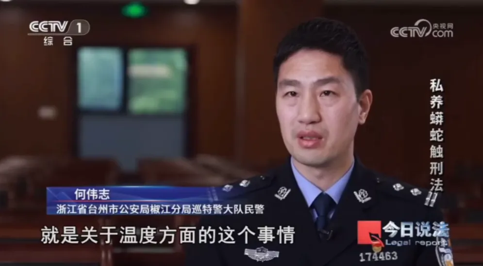 毛骨悚然!男子小区里养300多条蟒蛇 毛骨悚然!男子小区里养300多条蟒蛇