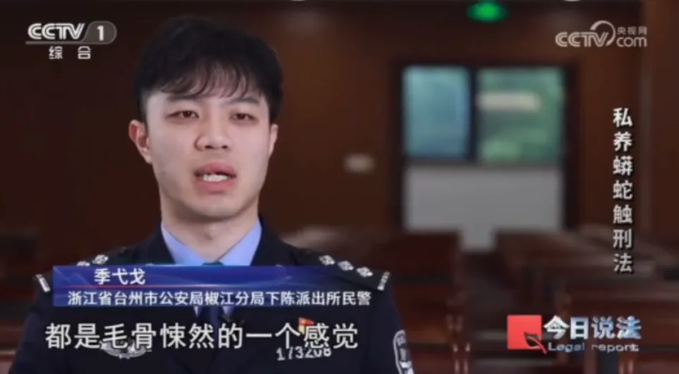 毛骨悚然!男子小区里养300多条蟒蛇 毛骨悚然!男子小区里养300多条蟒蛇