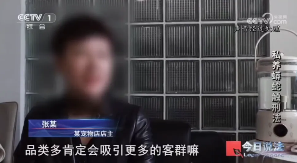 毛骨悚然!男子小区里养300多条蟒蛇 毛骨悚然!男子小区里养300多条蟒蛇