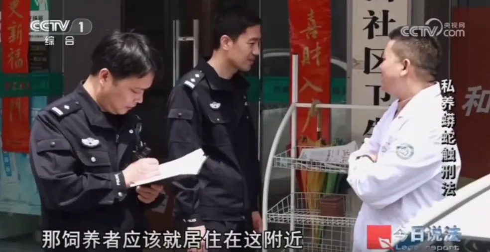 毛骨悚然!男子小区里养300多条蟒蛇 毛骨悚然!男子小区里养300多条蟒蛇