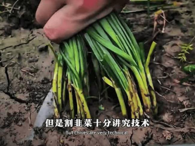 拒绝接盘,是这一代人对时代最大的反击 拒绝接盘,是这一代人对时代最大的反击