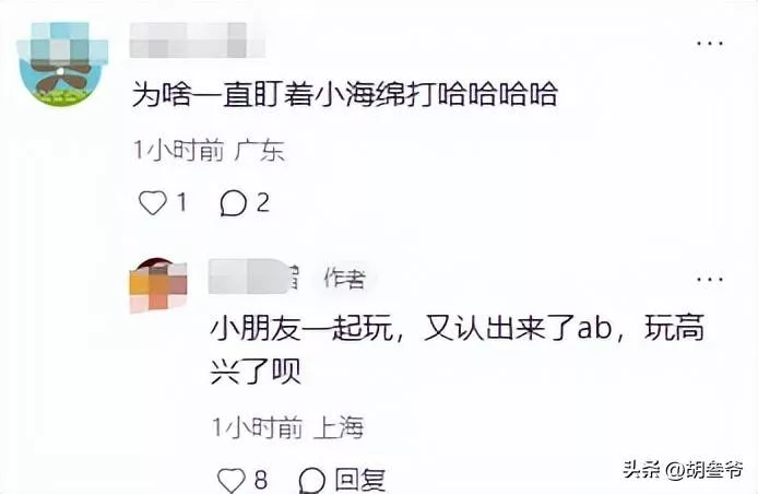 文章配图-12