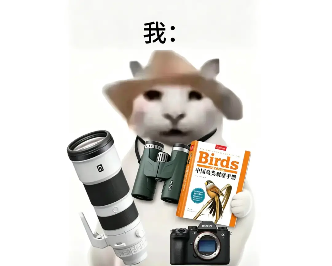 〓 图源:小红书@八奥