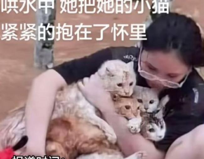 3巨狮惨被活活淹死 惊悚画面曝光 3巨狮惨被活活淹死 惊悚画面曝光