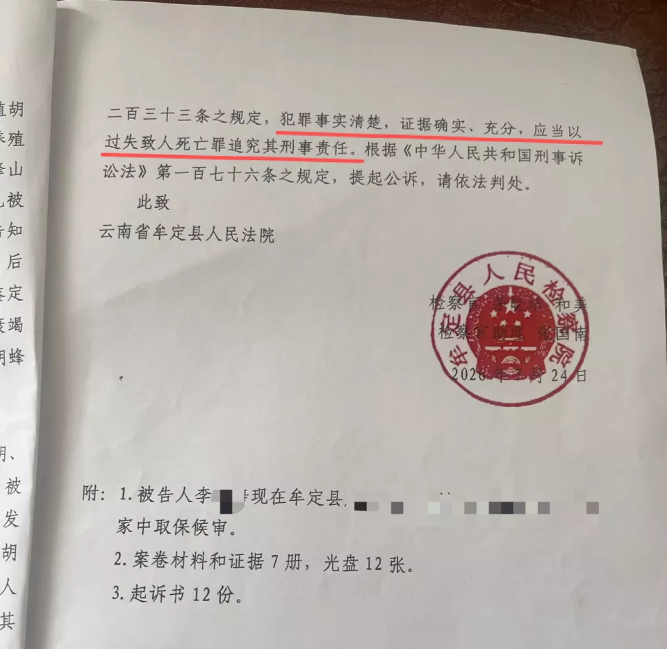云南胡蜂蜇亡两幼童案一审择期宣判,家属回应